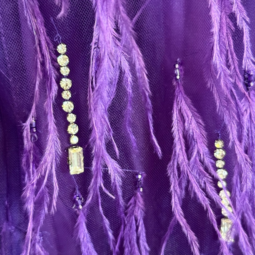 Feather Embellished Elegant Purple Sheer Dress with second piece under dress - Picture 11 of 15